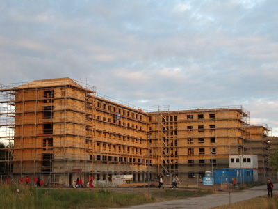 nur der Sonnenuntergang verhilft zu dieser Brune