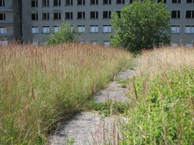 Die ehemalige Kegelbahn im Auengelnde